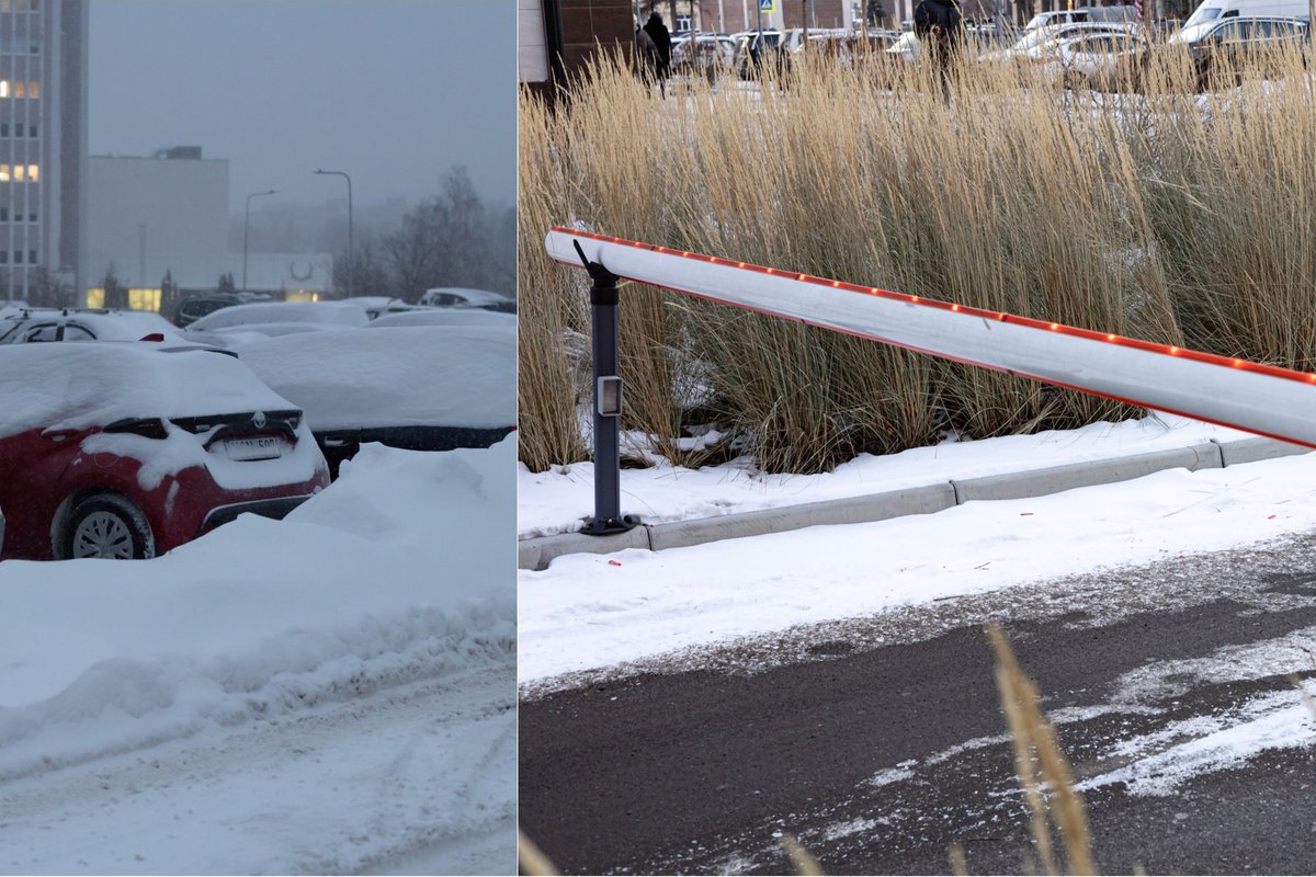 Valė automobilio numerius, o tada pasipylė kraujas