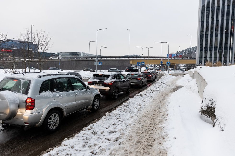 Vairuotojai (Paulius Peleckis/ BNS nuotr.)