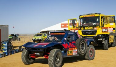 Vanagą namo „išlydėjusio“ Petraus įtarimai pasitvirtino: „Kartais visai nesinori būti teisiu, bet taip jau būna“