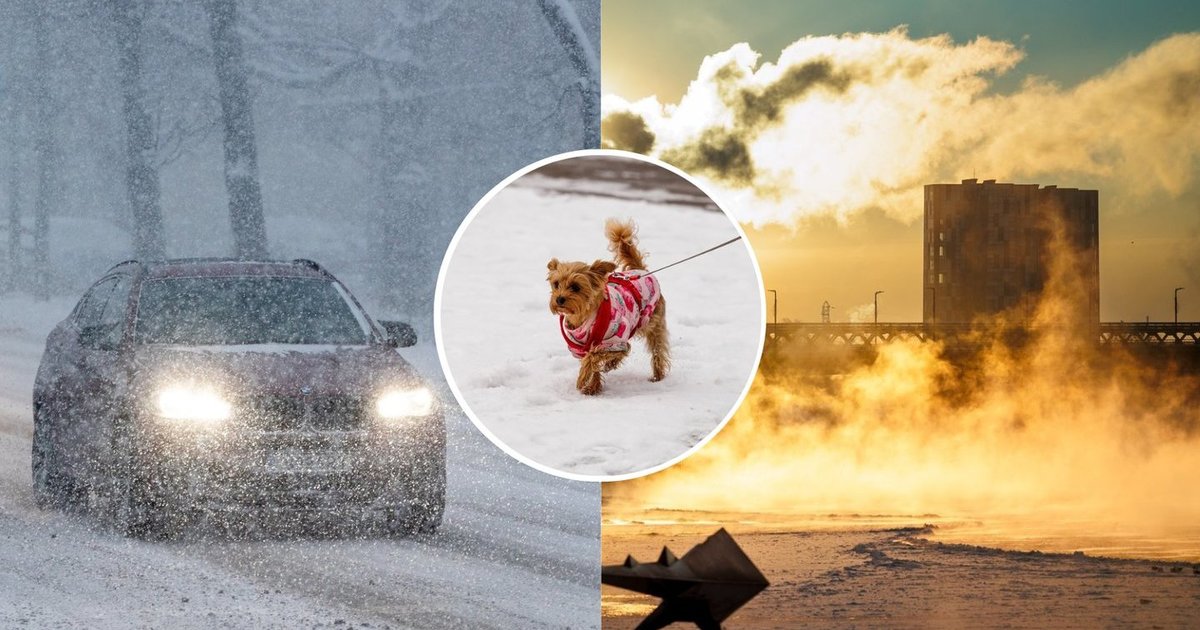 Sinoptikai atskleidė, kur praėjusią naktį buvo šalčiausia: temperatūra siekė –30 laipsnių