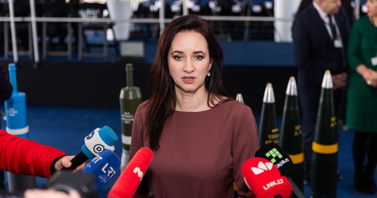 Po naujo kontrabandinių balionų antskrydžio – Ruginienės perspėjimas: „Neužmikime“