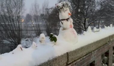 Pasipiktinę hamburgiečiai ėmėsi priemonių prieš sniego senių vandalus