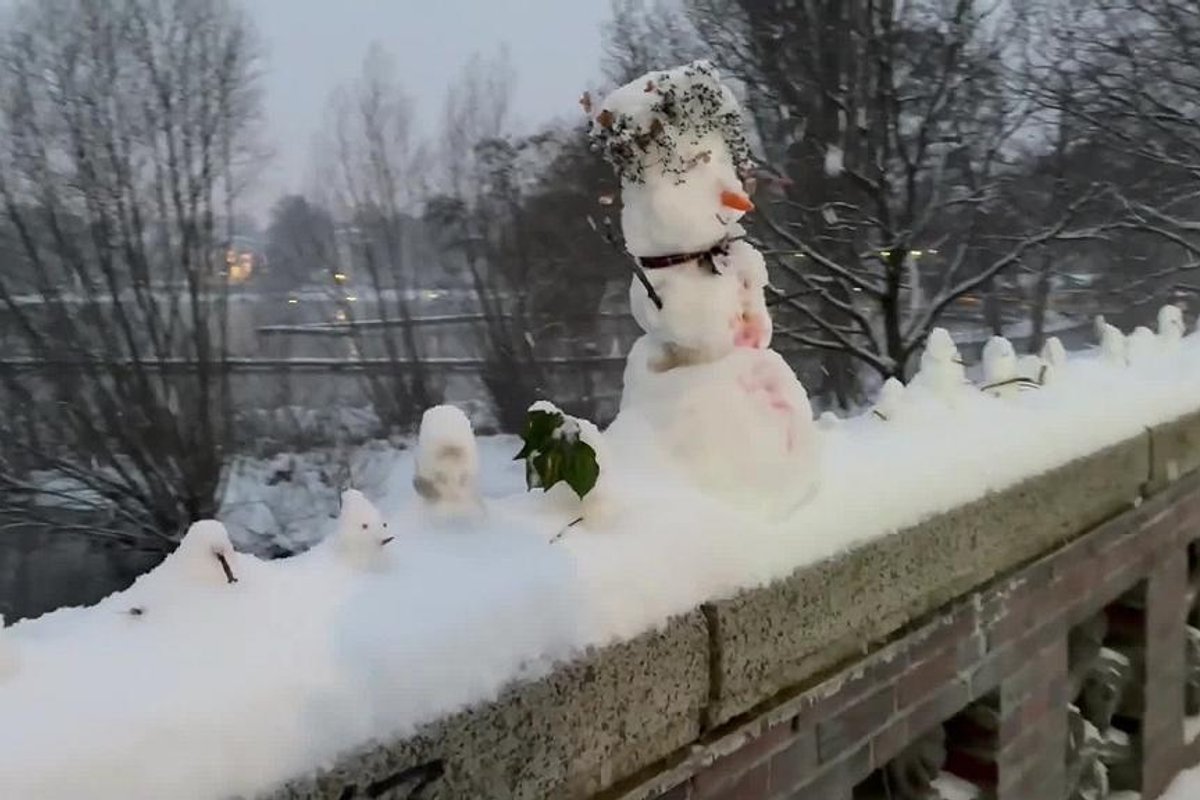 Pasipiktinę hamburgiečiai ėmėsi priemonių prieš sniego senių vandalus