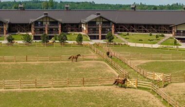 Žiniasklaida: žinomas Lietuvos raitelis pripažino prabangiame žirgyne išžaginęs užsienietę