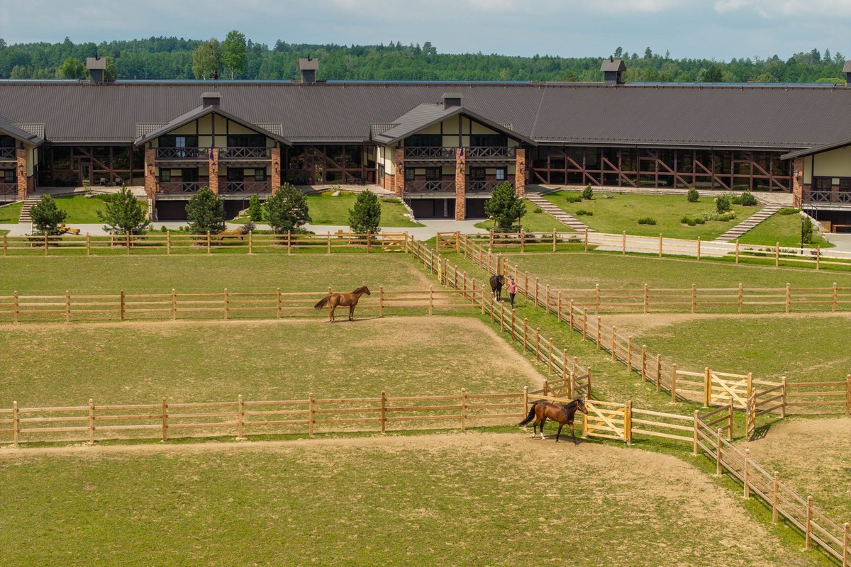 Žiniasklaida: žinomas Lietuvos raitelis pripažino prabangiame žirgyne išžaginęs užsienietę