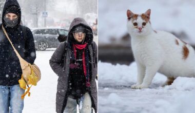 Didžiausi šalčiai dar prieš akis – sinoptikai skelbia, kad temperatūra gali kristi iki –33 laipsnių