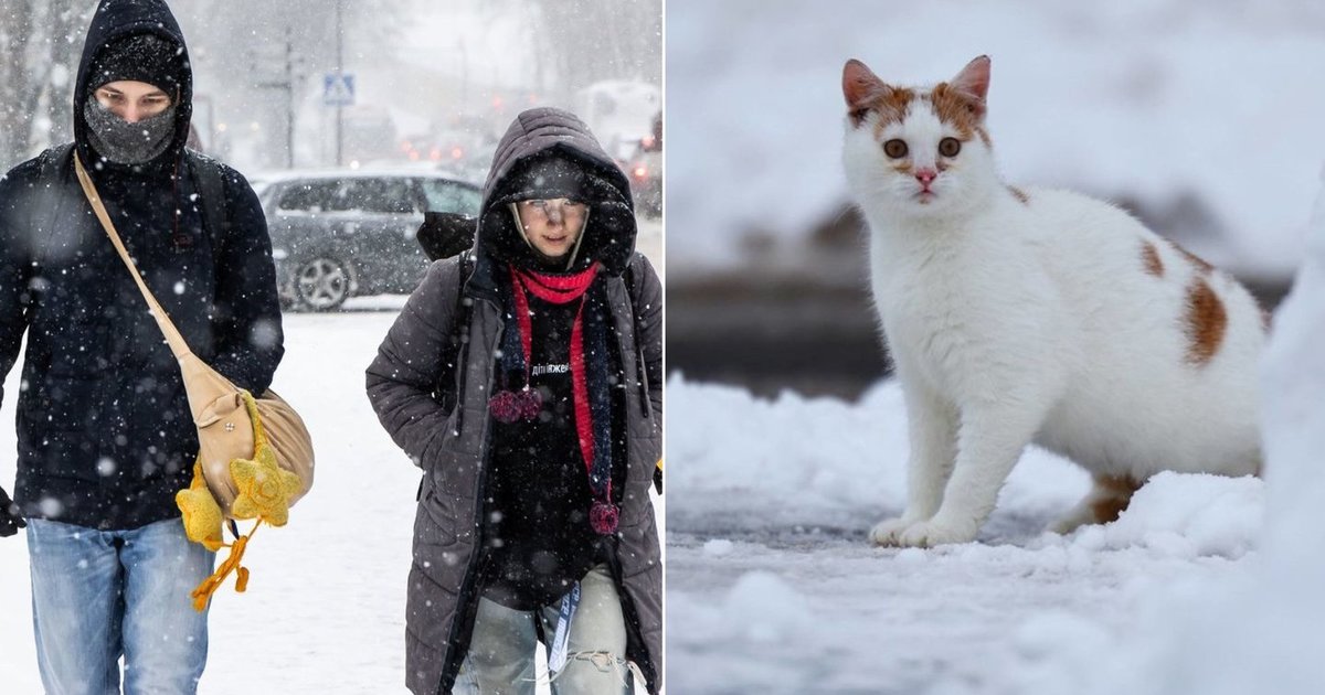 Didžiausi šalčiai dar prieš akis – sinoptikai skelbia, kad temperatūra gali kristi iki –33 laipsnių