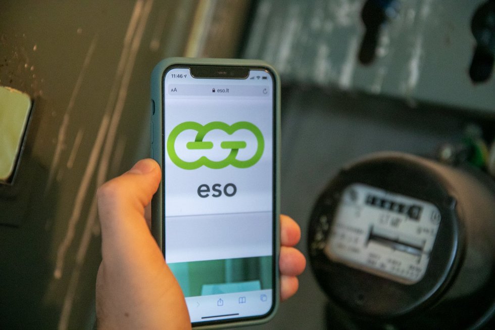 Elektra (Julius Kalinskas/ BNS nuotr.)