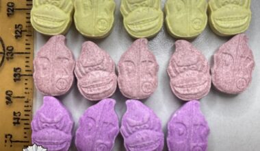 Europoje likviduotas narkotikų tinklas - Delfi