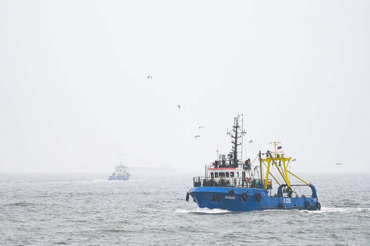 Skaisgirytė apie pažeistą kabelį Baltijos jūroje: lietuviai ir latviai palaiko ryšį