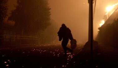 Čilėje per miškų gaisrus žuvo 15 žmonių