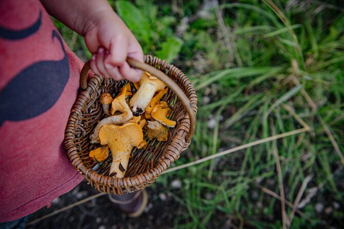 Shutterstock nuotr./Grybavimas