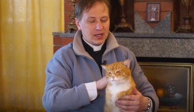 Girtas prie vairo pagautas kunigas atleistas nuo baudžiamosios atsakomybės