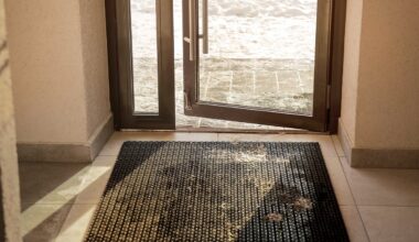 Ant gatvių barstoma druska gadina grindis - kaip to išvengti