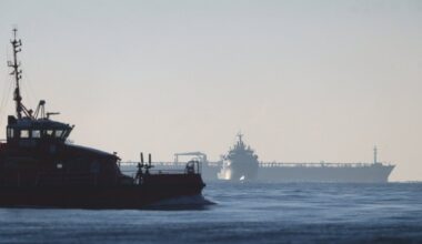 „Štai ir sulaukėme“: Lietuvos ir kitų Europos šalių sprendimas suerzino Rusiją - Delfi