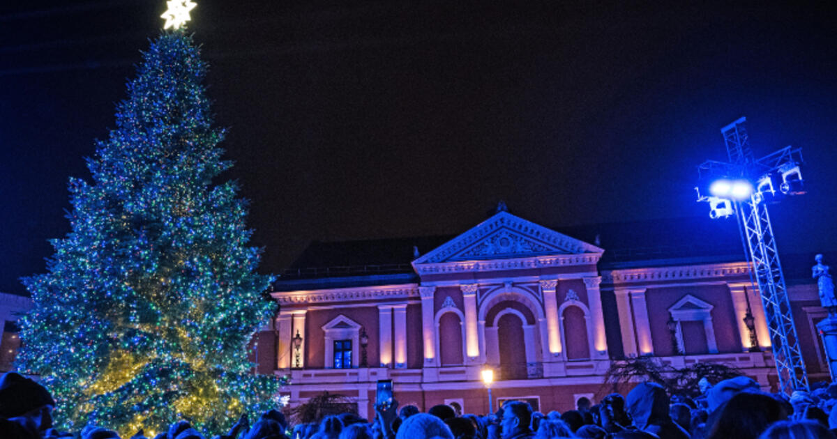 Klaipėdos eglė iškeliaus su Trimis Karaliais