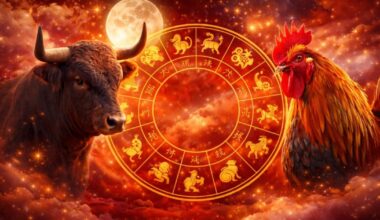 Jaučiams – suirutė, Gaidžiams – iliuzijos