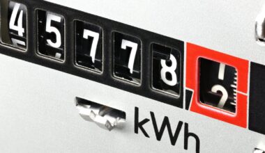 Lietuvoje fiksuotas rekordinis elektros suvartojimas: kaina išaugo daugiau nei dvigubai | Verslas