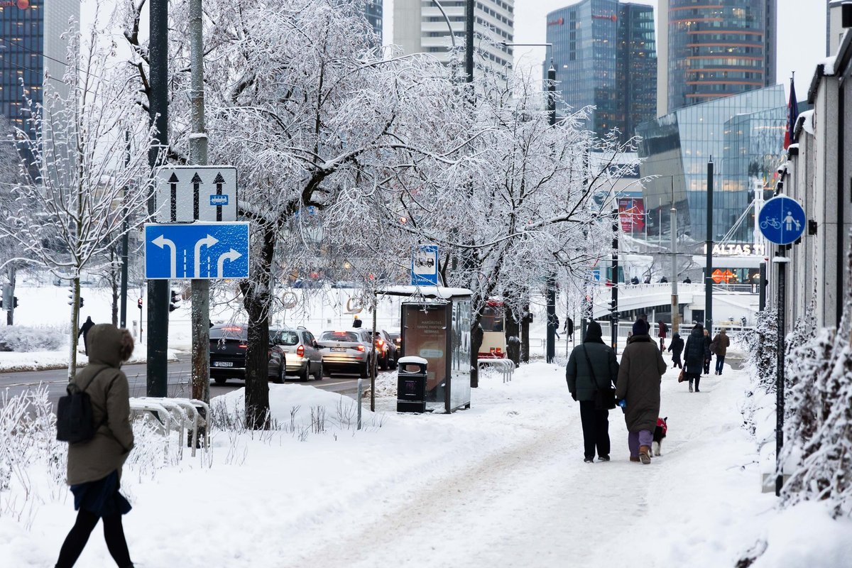 Saulę pakeis vėjas: žiema taps dar žvarbesnė - Delfi