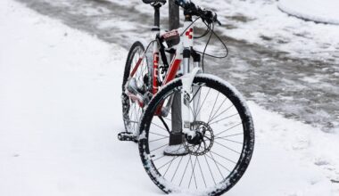 Žiema gali sukelti sunkumų: pūgos, šlapdriba, plikledis