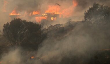 Dideli miškų gaisrai Čilėje pražudė 20 žmonių