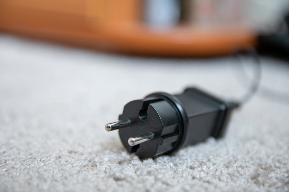 Elektra (Julius Kalinskas/ BNS nuotr.)