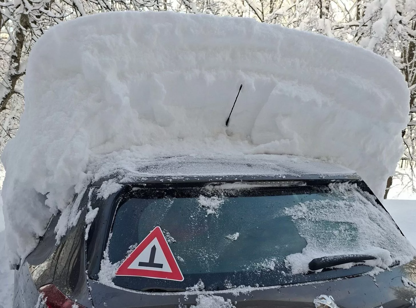 Sniegas Plungėje. Feisbuko grupės „Orų entuziastai“ nuotrauka