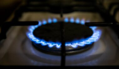 Lietuvoje šoktelėjo gamtinių dujų vartojimas: fiksuojami itin dideli kiekiai | Verslas