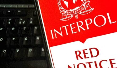 Lietuvis nesėkmingai bandė sprukti nuo Interpolo: įkliuvo oro uoste