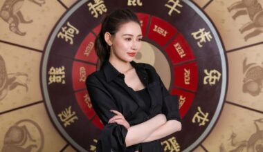 kuriems kinų horoskopo ženklams 2026 metais nevalia rizikuoti