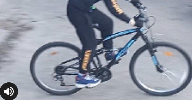 Alytuje pavogtas kalnų dviratis: policija ieško liudininkų