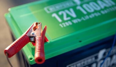 Baterijų revoliucija jau čia: nauja technologija veikia per speigą ir kainuoja gerokai pigiau