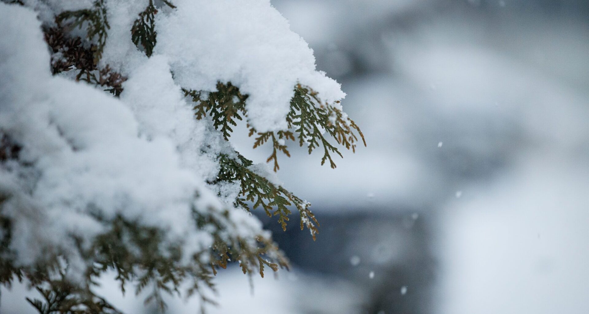 Sinoptikai: Lietuvoje to jau nebuvo 15 metų