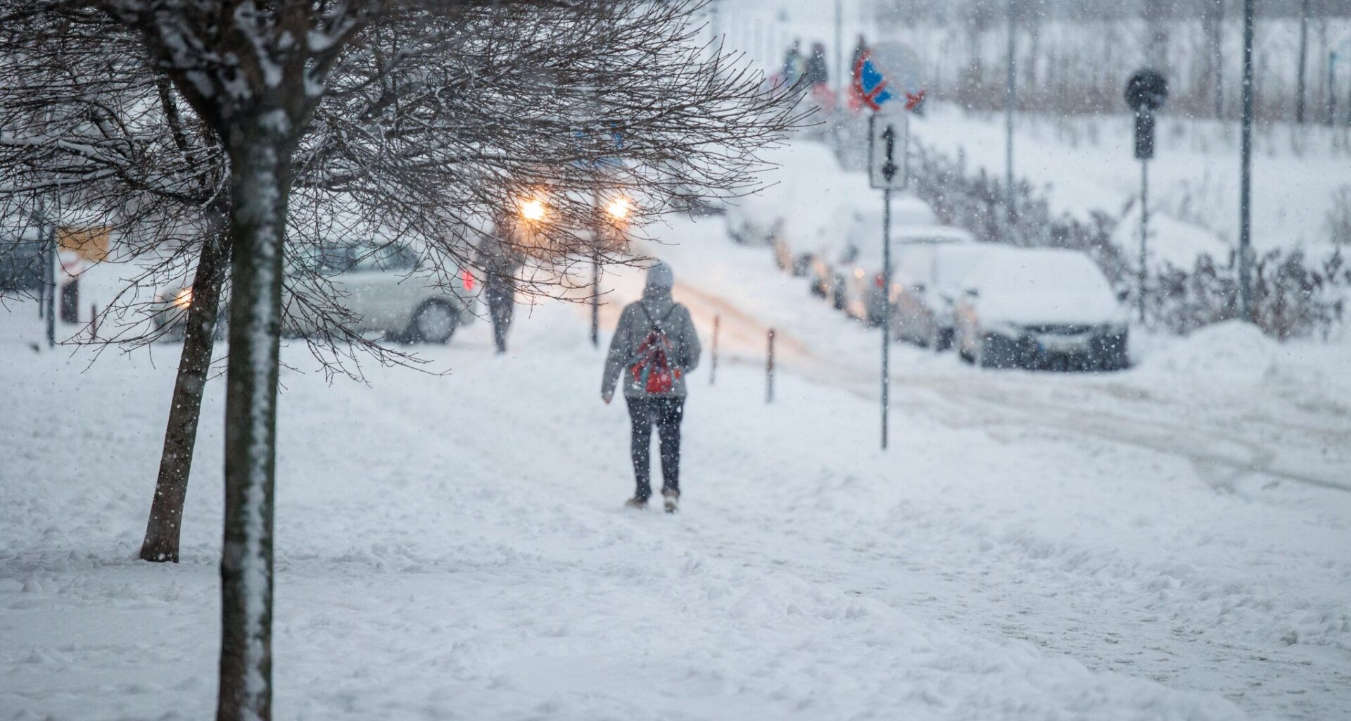 Meteo.lt: eksperimentinės prognozės parodė, kokia bus sausio pabaiga