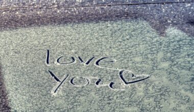 Kaip žiemą apsaugoti automobilio langus nuo apšalimo? Problemos sprendimas neįtikėtinai paprastas