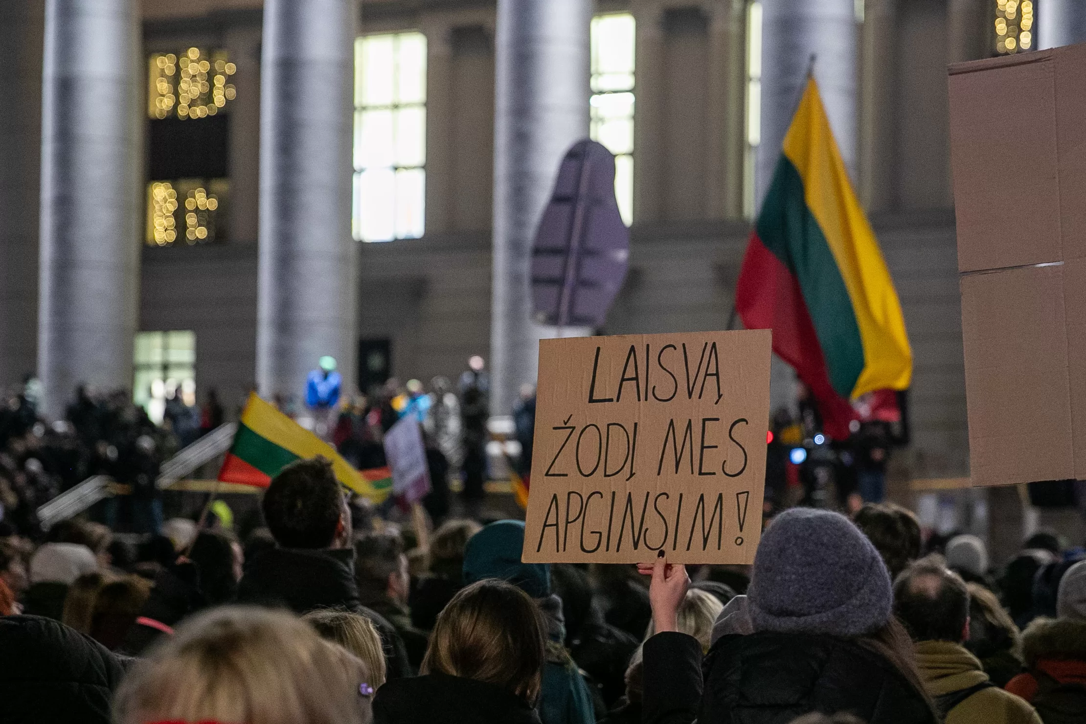 Protestas „Šalin rankas nuo laisvo žodžio! Laužai prie Seimo“