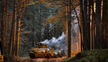 Vytautas SINICA: Reikalingi poligonai, reikalinga ir pagarba - Respublika.lt