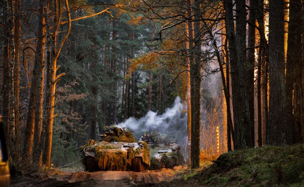 Vytautas SINICA: Reikalingi poligonai, reikalinga ir pagarba - Respublika.lt