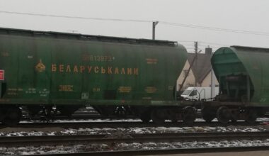 „Sankcijos yra galiojančios": Budrys apie Andriukaičio pasisakymus dėl baltarusiškų trąšų tranzito - Respublika.lt