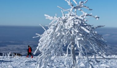 Sausio 15 d. vardadieniai ir kitos įdomybės - Respublika.lt