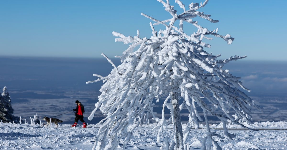 Sausio 15 d. vardadieniai ir kitos įdomybės - Respublika.lt