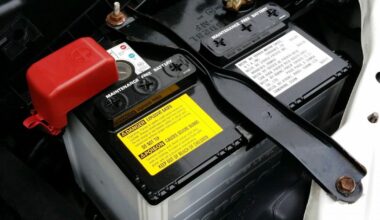 Automobilių baterijų vagysčių serija: Panevėžyje suimti rumunas ir moldavas - Respublika.lt