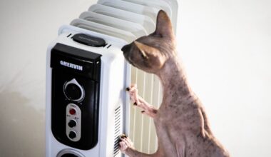 Ketvirtadienį Lietuvoje pasiektas elektros suvartojimo rekordas - Respublika.lt