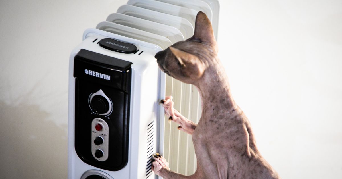 Ketvirtadienį Lietuvoje pasiektas elektros suvartojimo rekordas - Respublika.lt