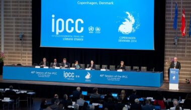 JAV traukiasi iš 66 tarptautinių organizacijų - Respublika.lt