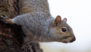 Sausio 27 d. vardadieniai ir kitos įdomybės - Respublika.lt