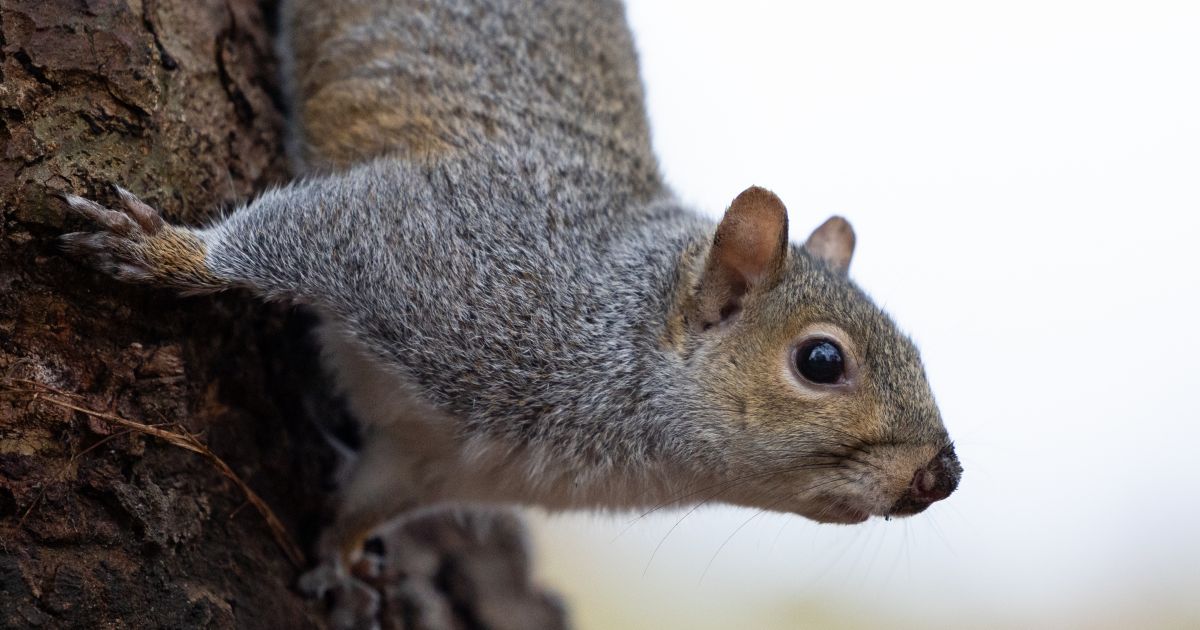 Sausio 27 d. vardadieniai ir kitos įdomybės - Respublika.lt