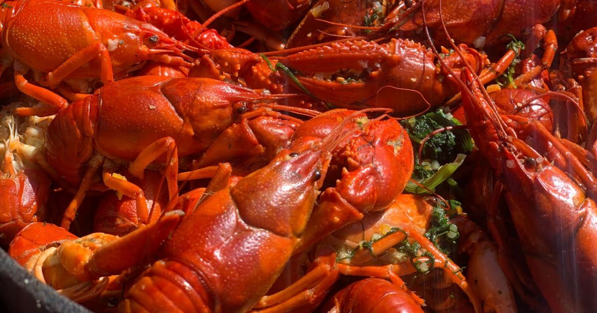 Vagys nugvelbė austrių, krabų ir 400 tūkst. dolerių vertės omarų mėsos - Respublika.lt