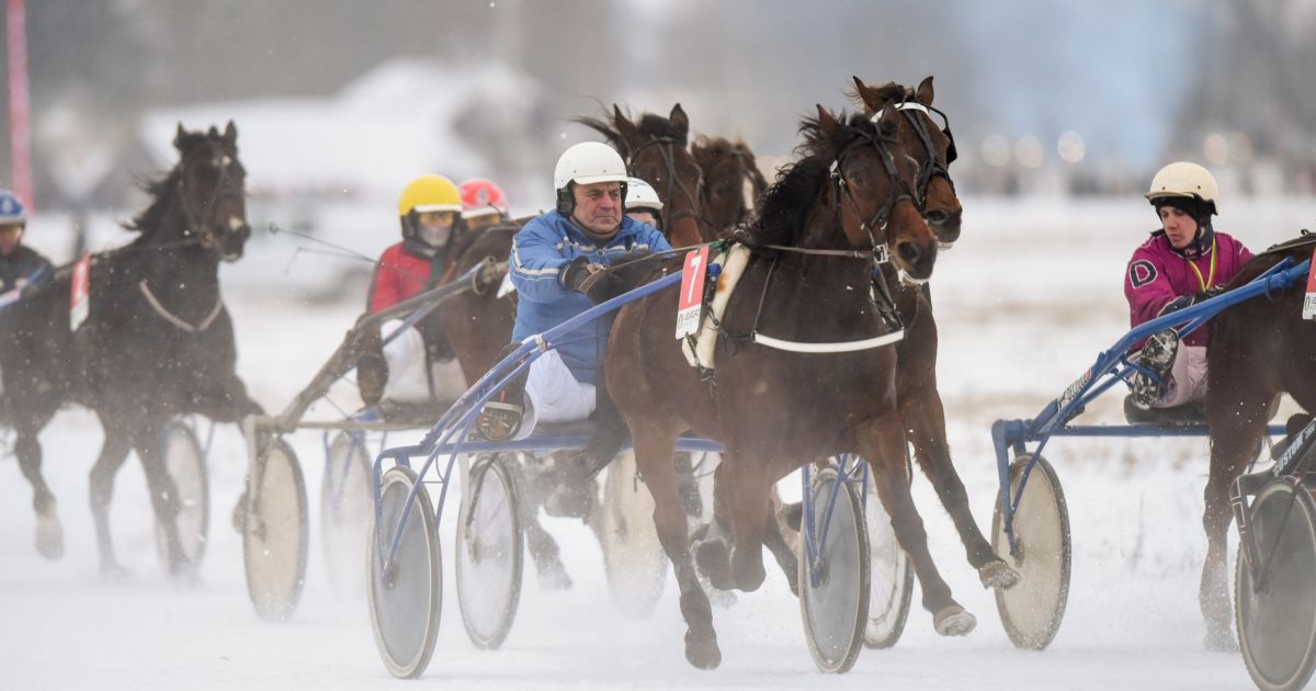Dusetose - legendinės žirgų lenktynės „Sartai 2026“ - Respublika.lt