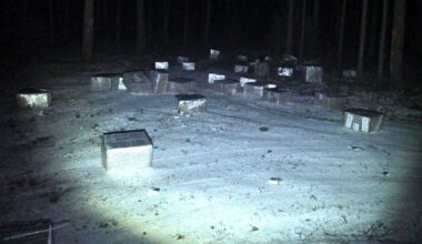 Lazdijų rajone pasieniečiai aptiko 100 dėžių baltarusiškų cigarečių - Respublika.lt